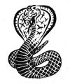 wąż kobra