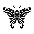 motyl z rozłożonymi skrzydłami